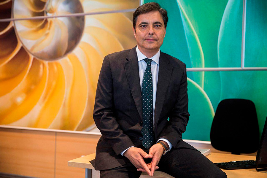 La adquisición de vehículos todoterreno por parte de empresas y Organismos Públicos se ha especializado 4