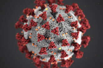 Gestionar la movilidad corporativa en tiempos de coronavirus