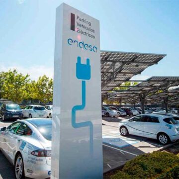 renovacion flota endesa