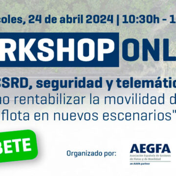 workshop webfleet 2024 02