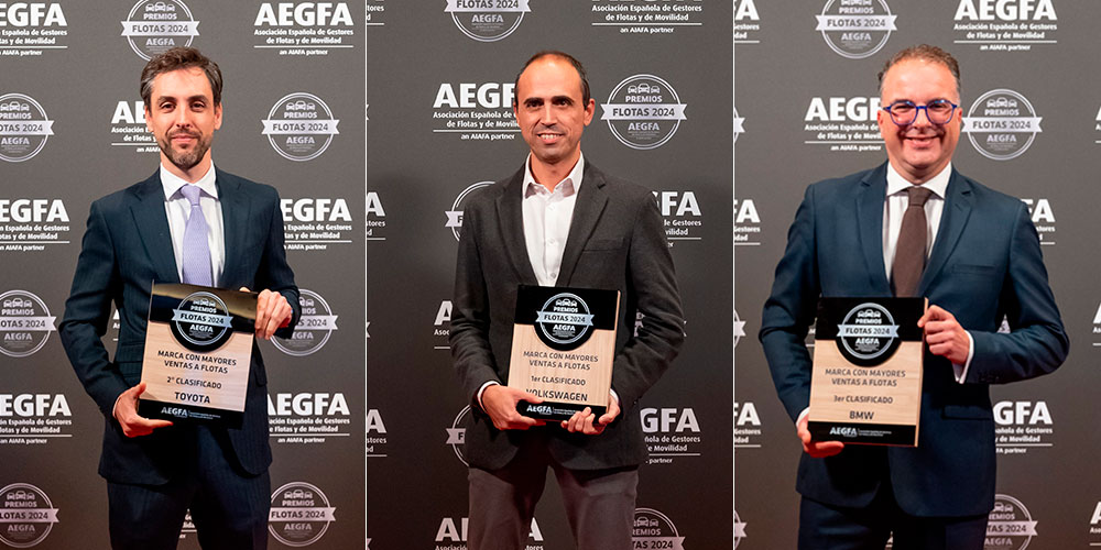 marcas mas vendidas flotas 2024