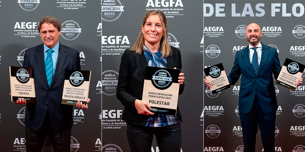 premios flotas electricos hibridos marcas