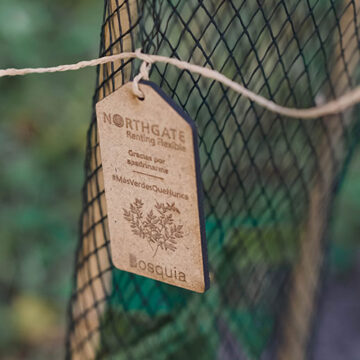 Bosques Northgate suma 8 reforestaciones con 4.000 especies autóctonas