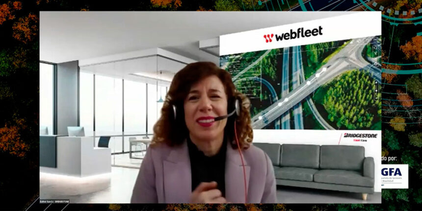 worshop webfleet cae esther