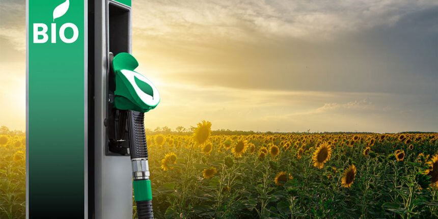 Los biocombustibles generan más CO₂ que los combustibles fósiles a los que sustituyen 3